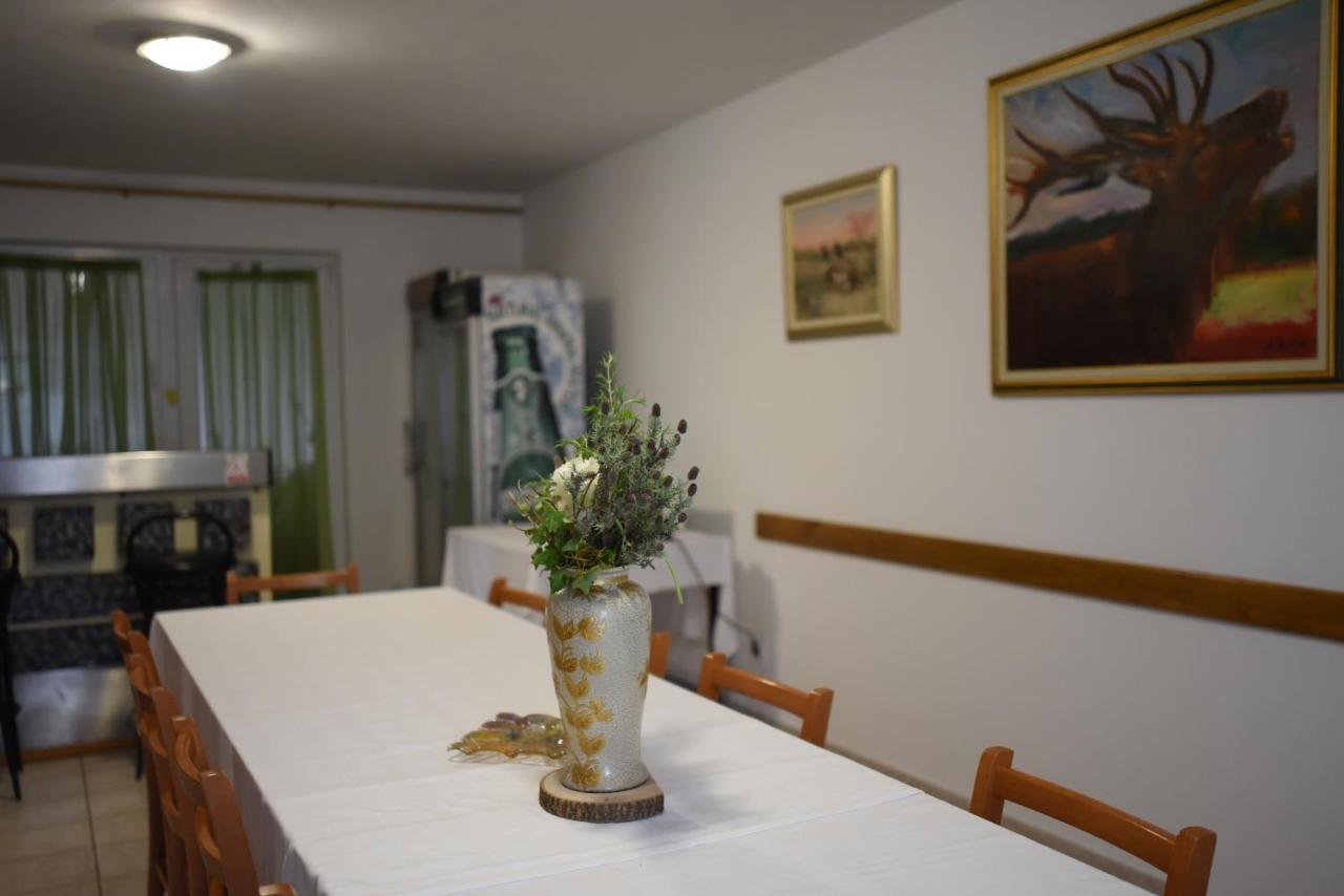 Prenociste Dzinic Hotel Zupanja Bagian luar foto