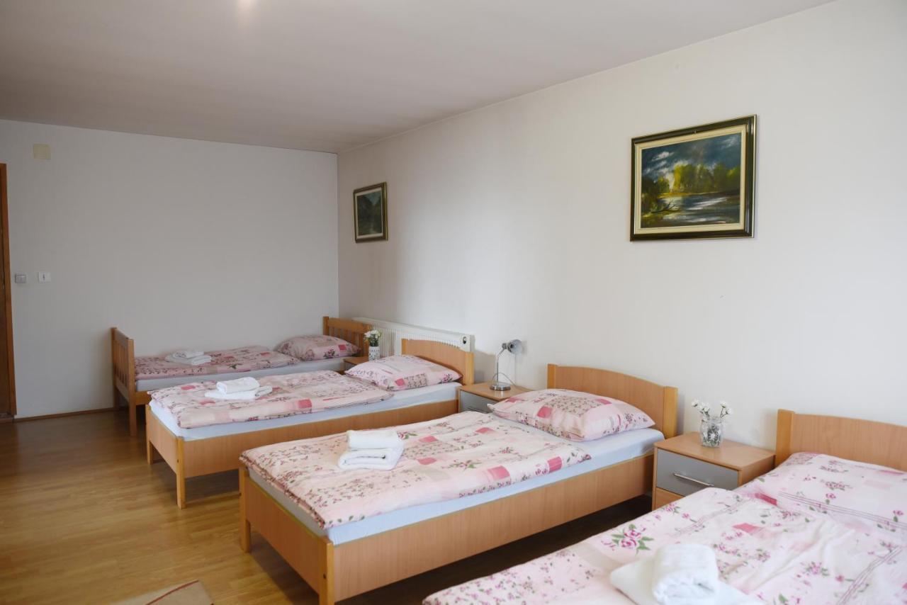 Prenociste Dzinic Hotel Zupanja Bagian luar foto